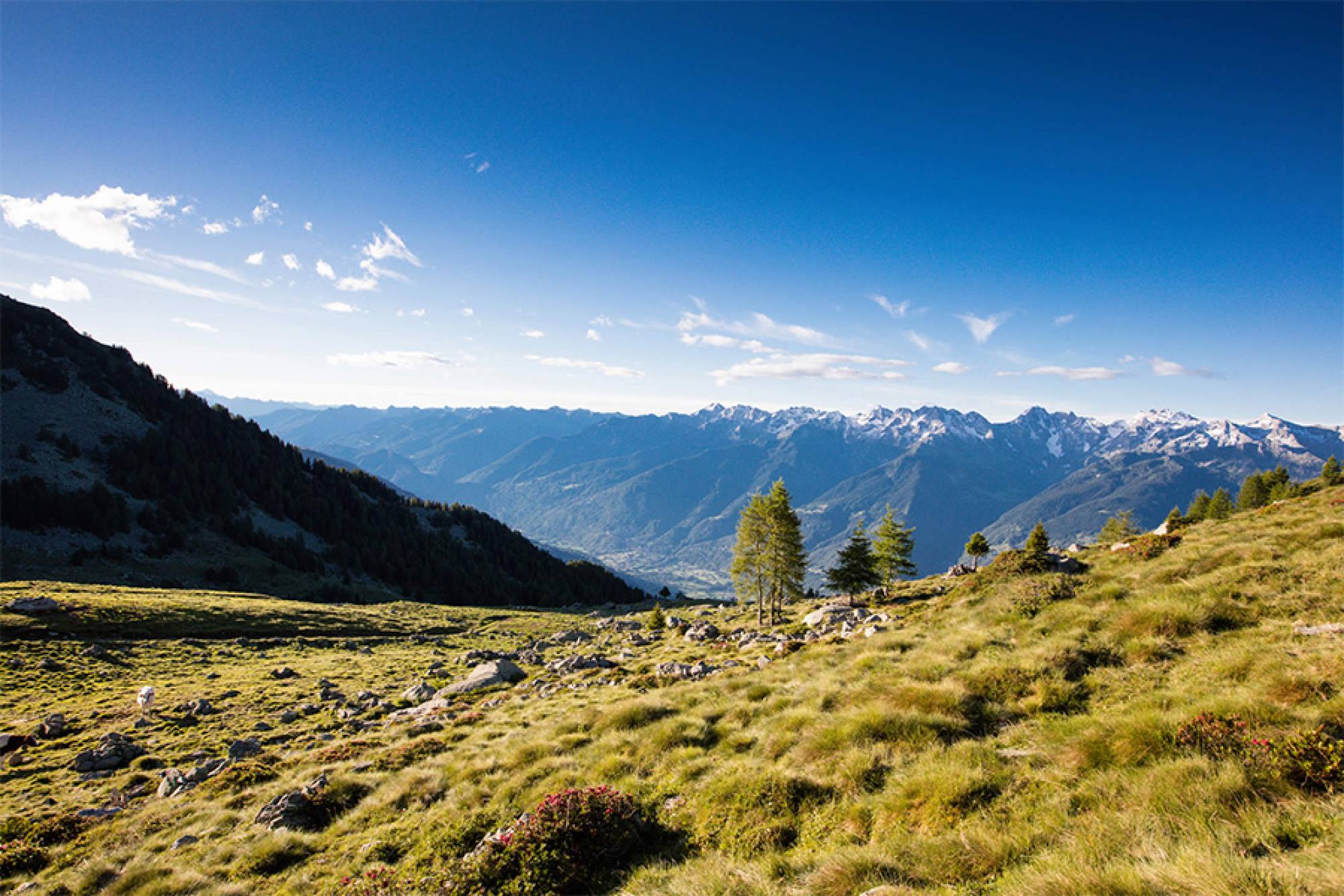 L'Originaria, il territorio in una fetta
